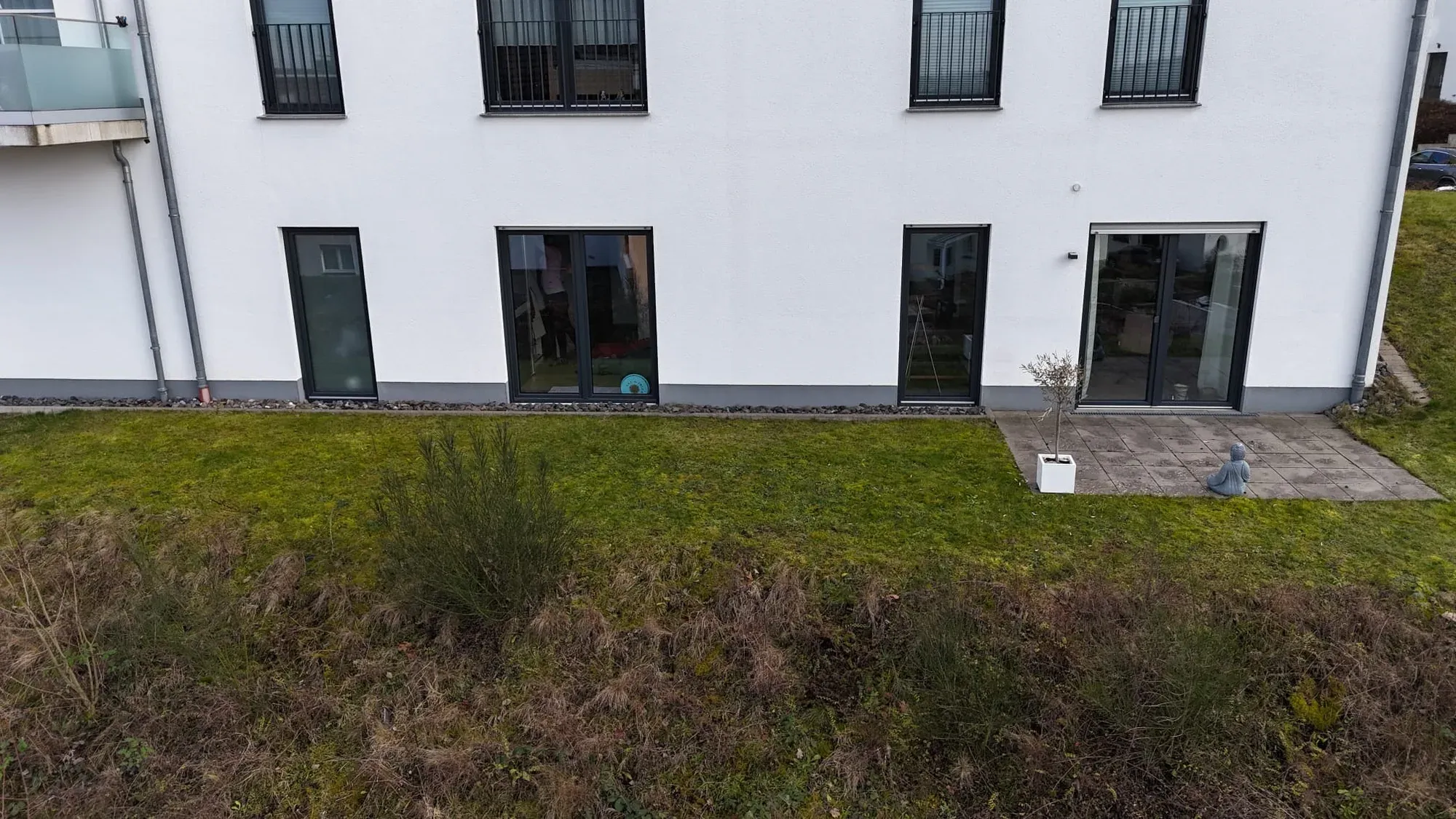 Vorher: Vorher: Wildwuchs am Mehrfamilienhaus