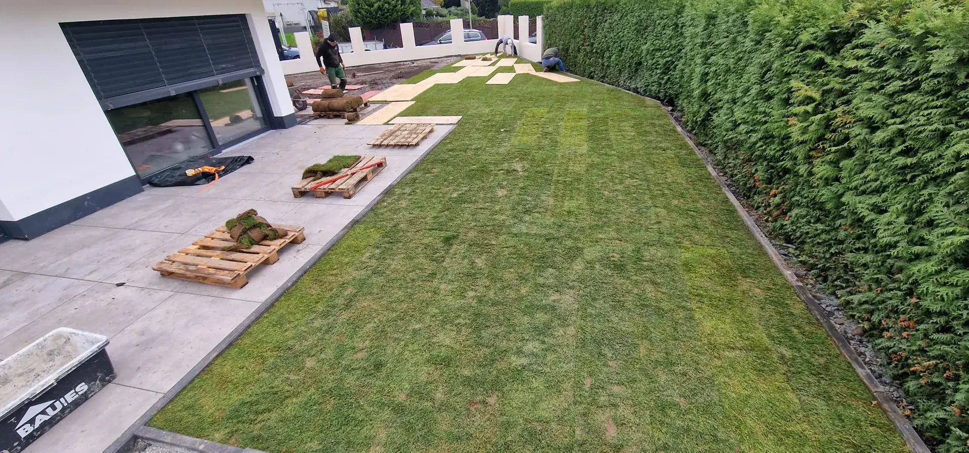Neuer Rollrasen entlang der Hecke am modernen Haus